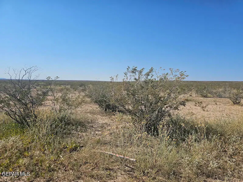27 SEC 5 Psl Sierra Prieto #72 Lot 11, Sierra Blanca, TX 79851 - Image #1