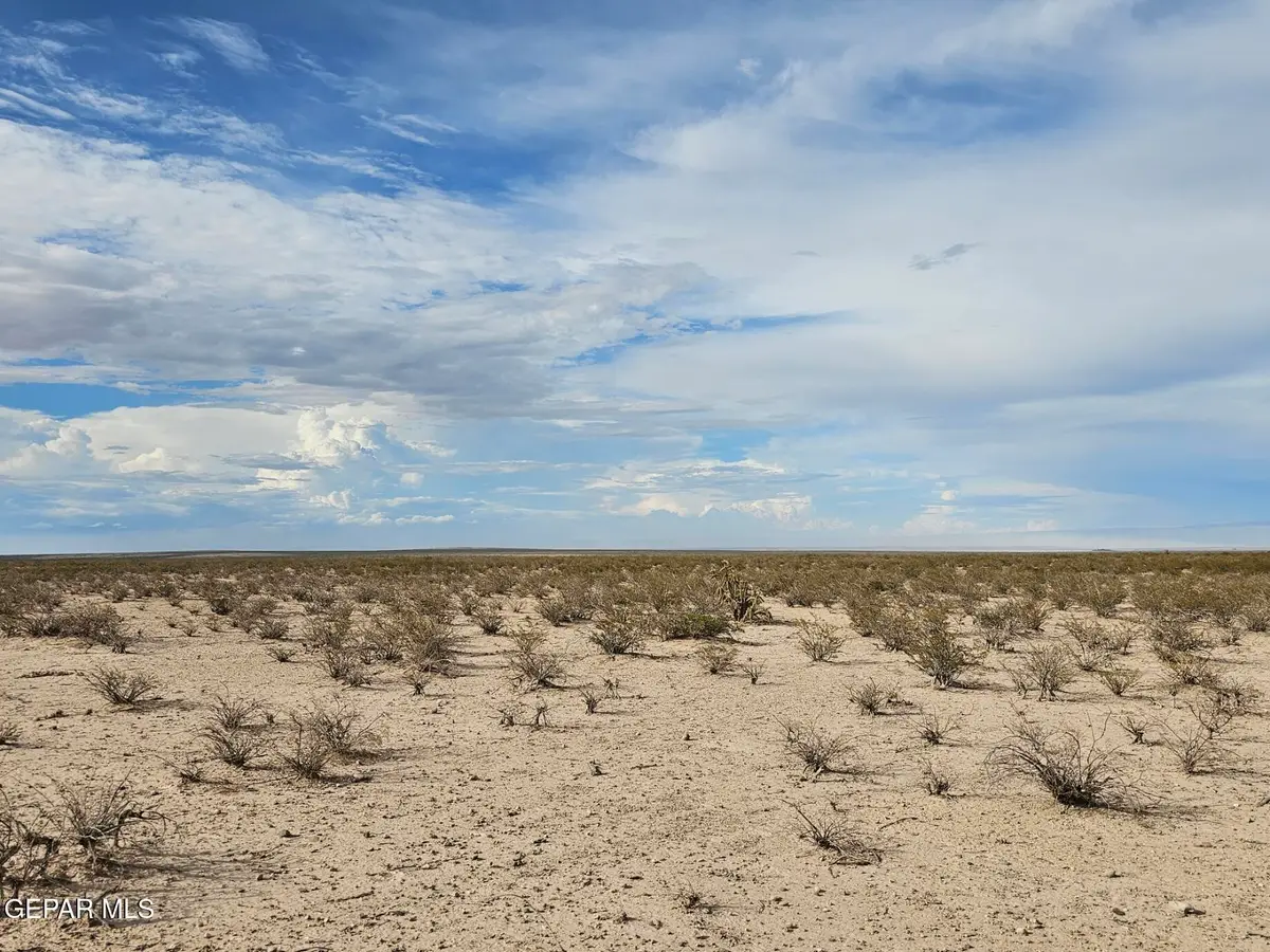 70 TSP 1 Sec 40 T & P Lot 29, Dell City, TX 79837 - Image #1