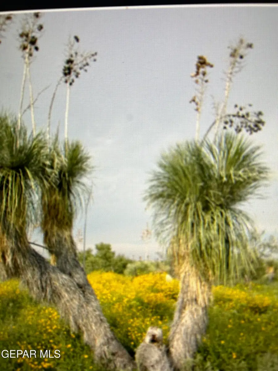 PN-75979 Bareback Trail, Sierra Blanca, TX 79851 - Image #3