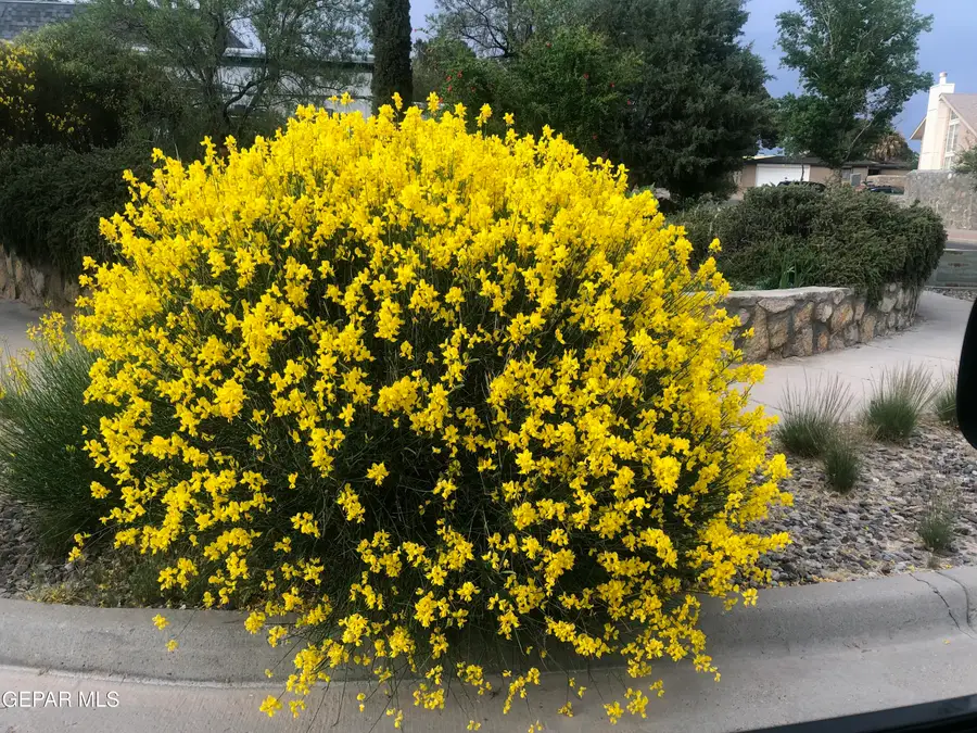 3633 Alderwood Manor Drive, Horizon City, TX 79928 - Image #2