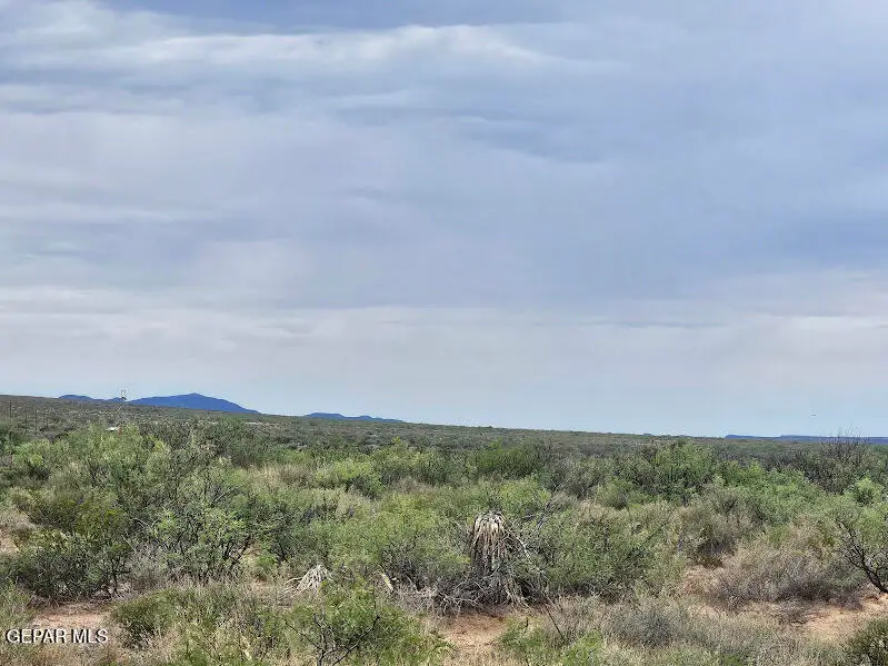 27 SEC 11 Psl Sierra Prieto #70 Lot 19, Sierra Blanca, TX 79851 - Image #2
