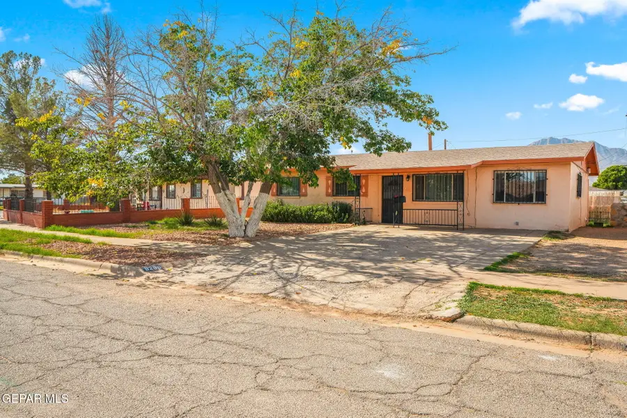 9205 Mount Shasta Drive, El Paso, TX 79924 - #2