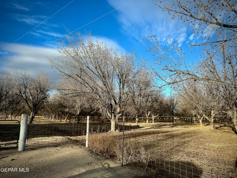 TBA Farm Road 259, Canutillo, TX 79835 - Image #2