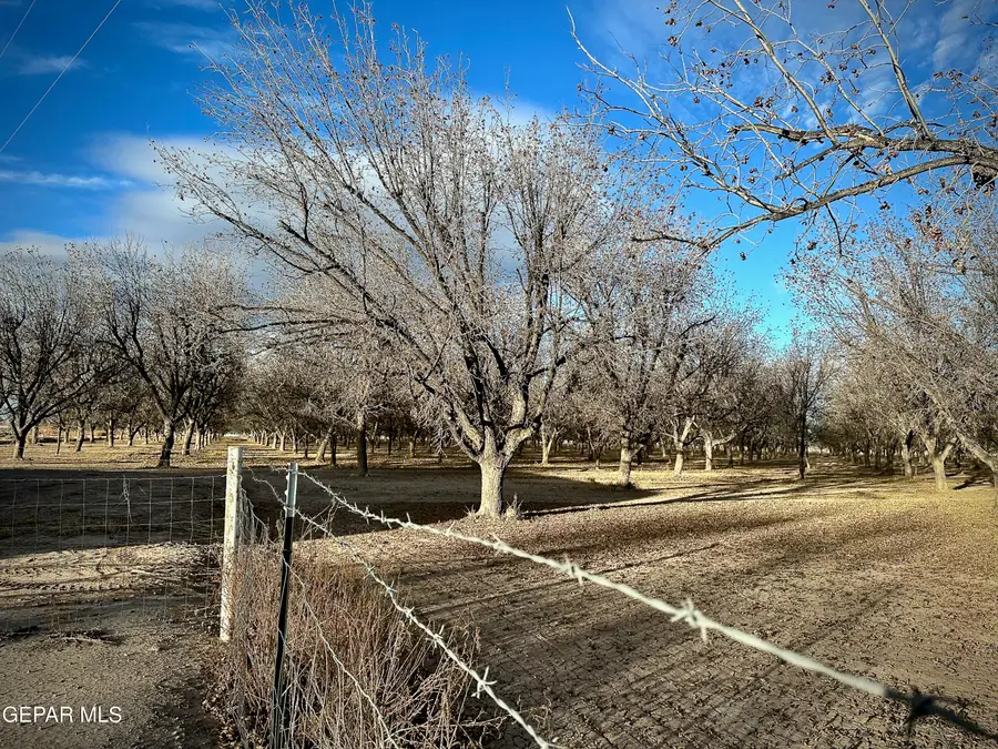 TBA Farm Road 259, Canutillo, TX 79835 - Image #3