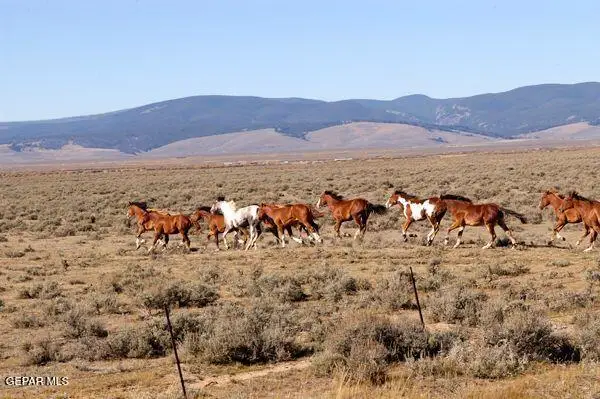 PN-65679 Hudspeth 73 Psl 10.00 Acres, Sierra Blanca, TX 79851 - Image #3