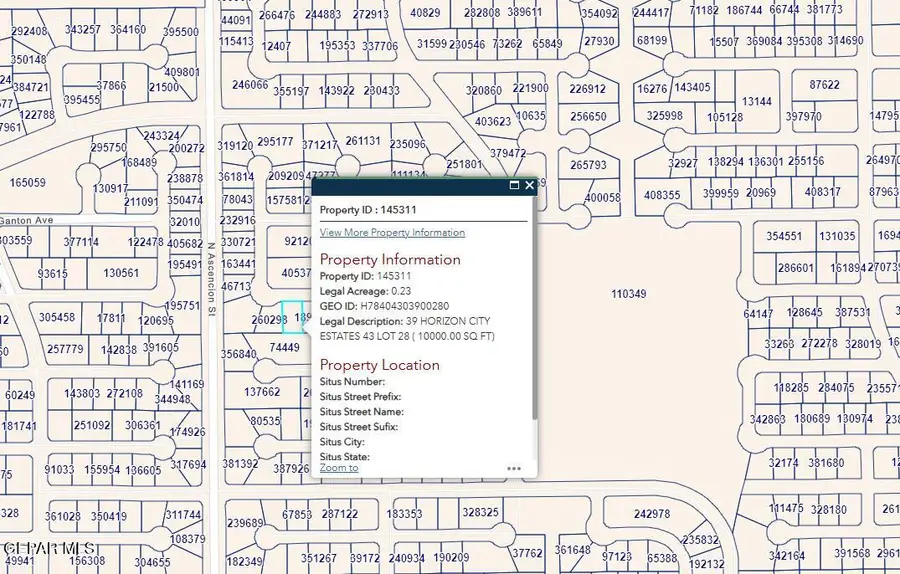 PN-145311 39 Horizon City Estates Lot 28, Horizon City, TX 79928 - #2