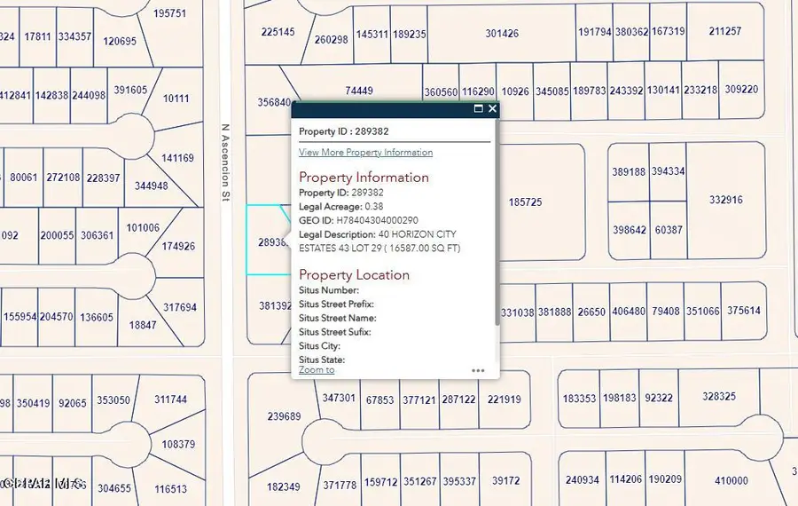 PN-289382 40 Horizon City Estates Lot 29, Horizon City, TX 79928 - #2