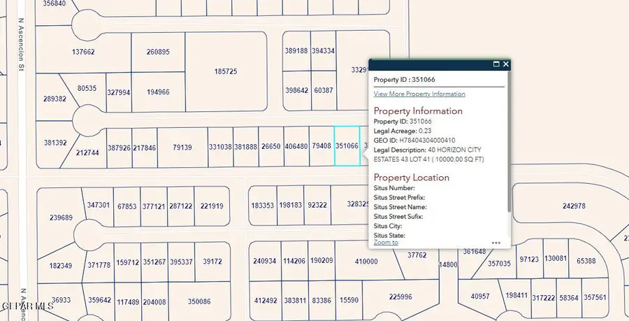 PN-351066 40 Horizon City Estates Lot 41, Horizon City, TX 79928 - #2