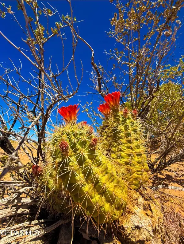 5201 Tamara Drive, El Paso, TX 79938