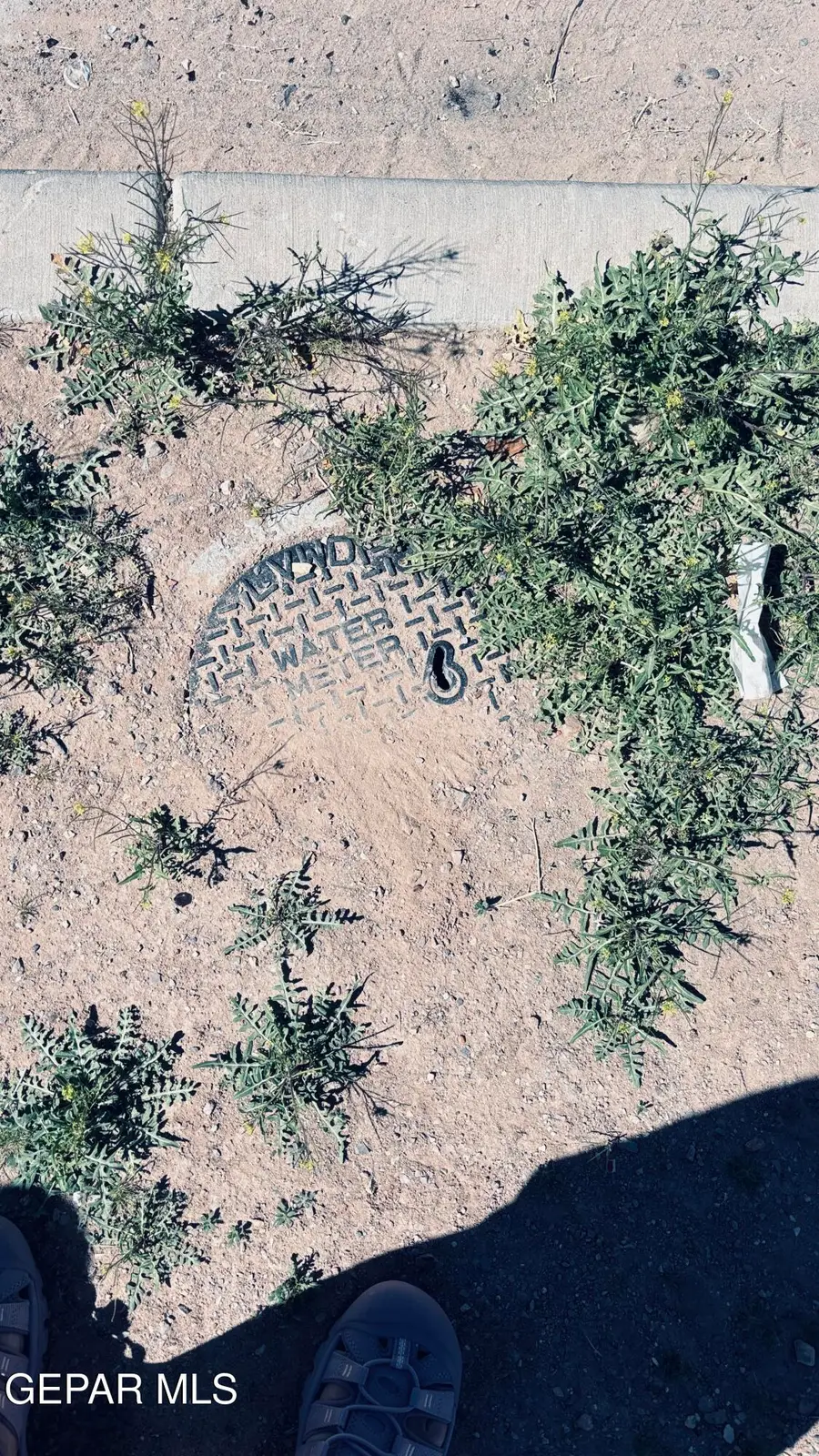 13392 Estancias Del Sur Street, San Elizario, TX 79849 - #2