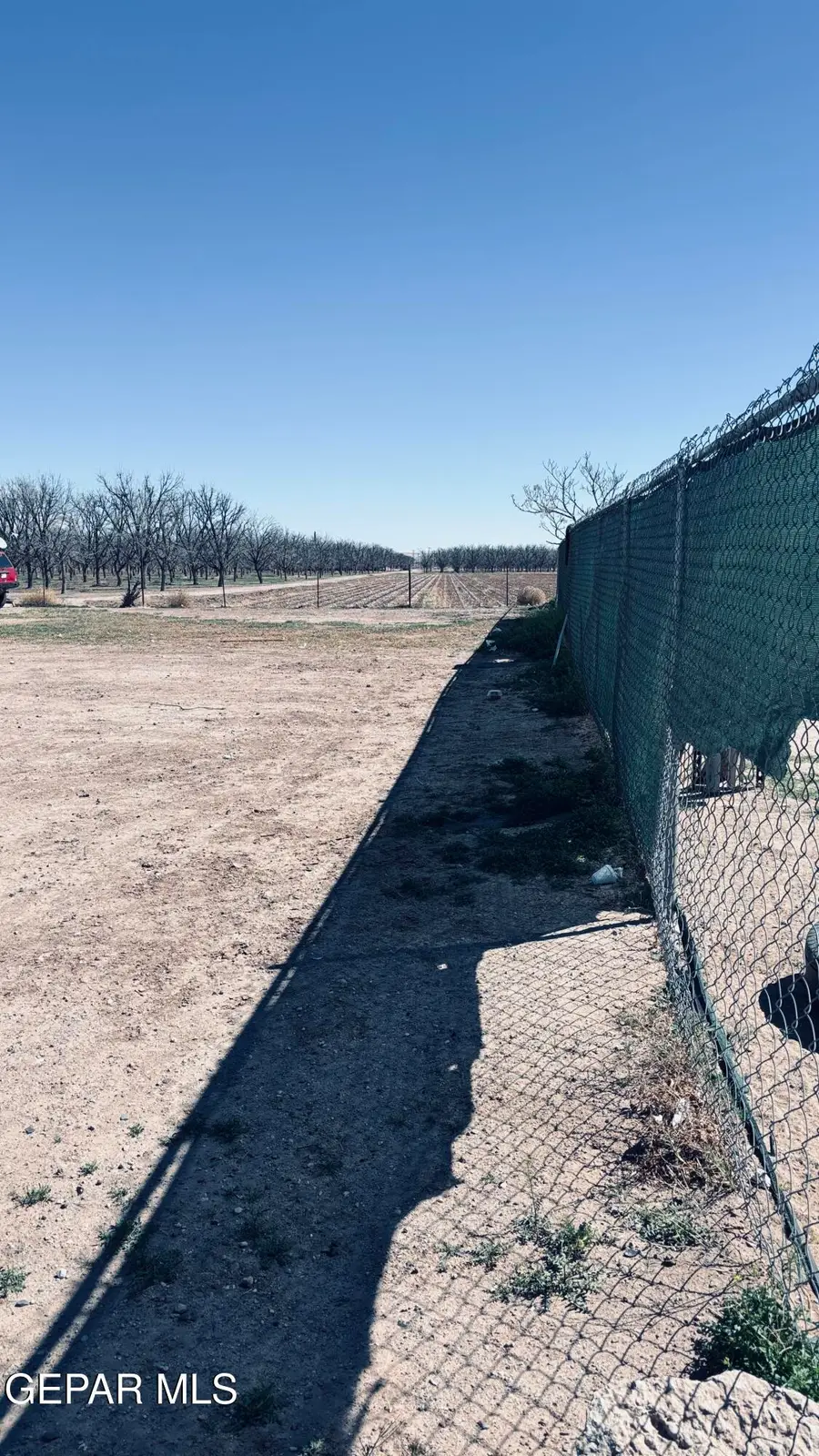 13392 Estancias Del Sur Street, San Elizario, TX 79849 - #3