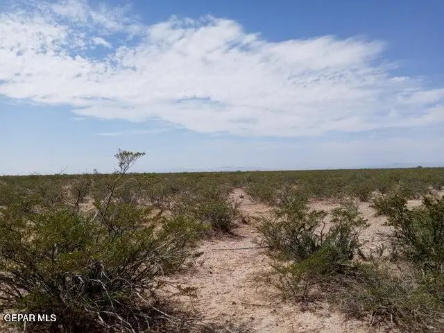 TBD Karina Street, Fort Hancock, TX 79839 - #2