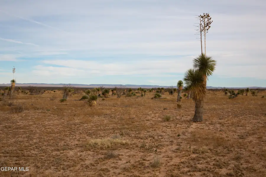 PN 76132 Tbd 37 Sec 1 Psl Sunset Ran, Sierra Blanca, TX 79851 - #2