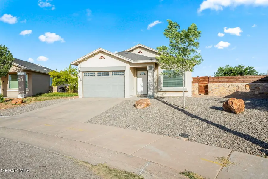 11729 Flor Celosia, Socorro, TX 79927 - #2