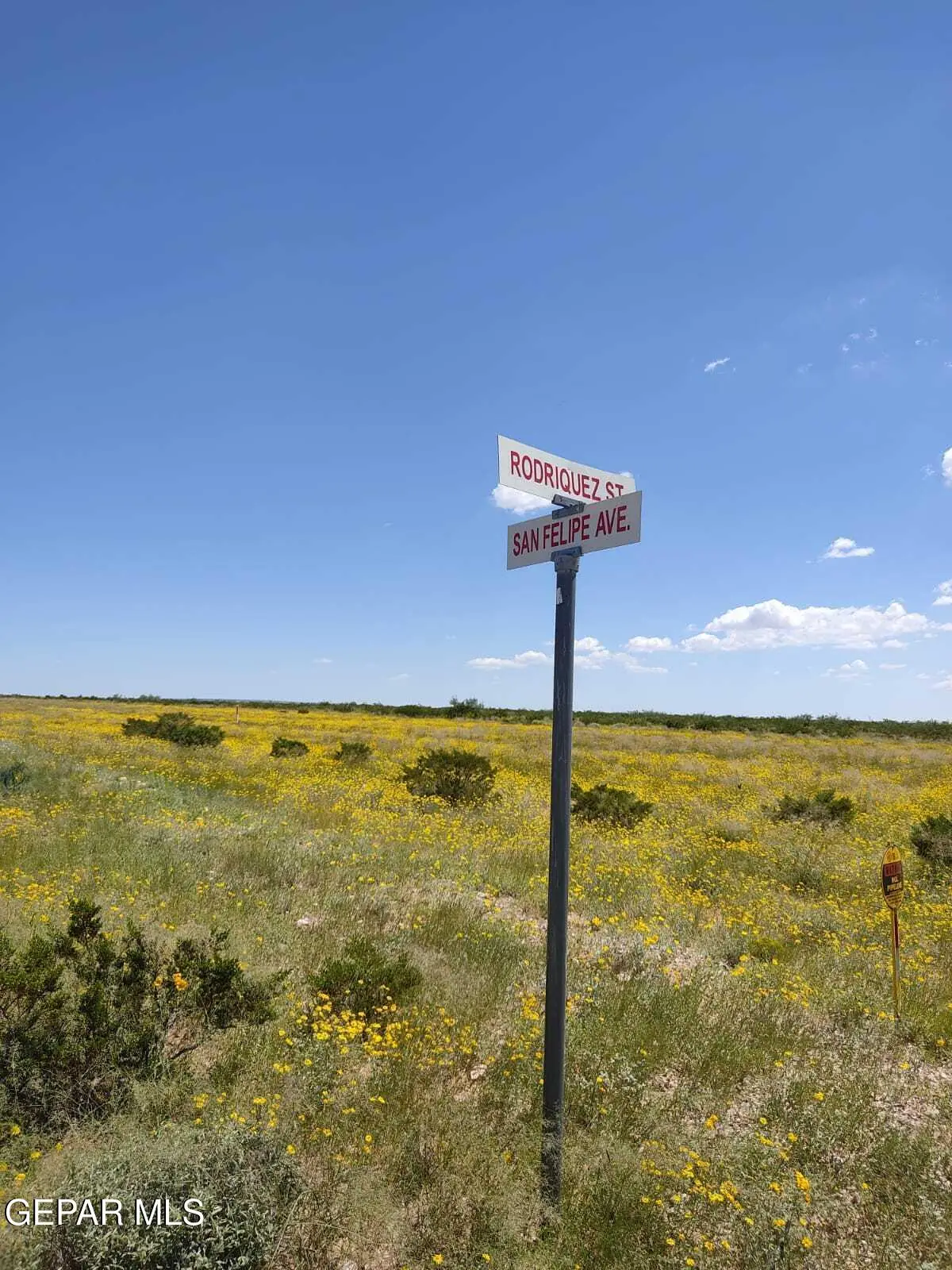 PN-57056 Tbd Sunset Ranches, Sierra Blanca, TX 79851 - #1