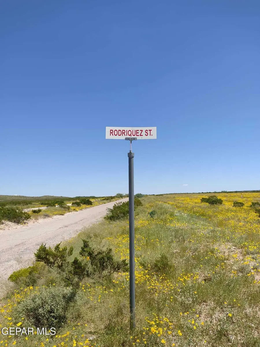 PN-57056 Tbd Sunset Ranches, Sierra Blanca, TX 79851 - #2
