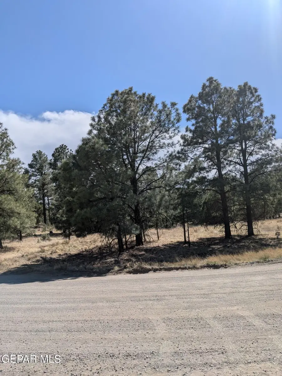 PN Tbd Bache St & Mesita Dr Drive, Alto, NM 88312 - #2