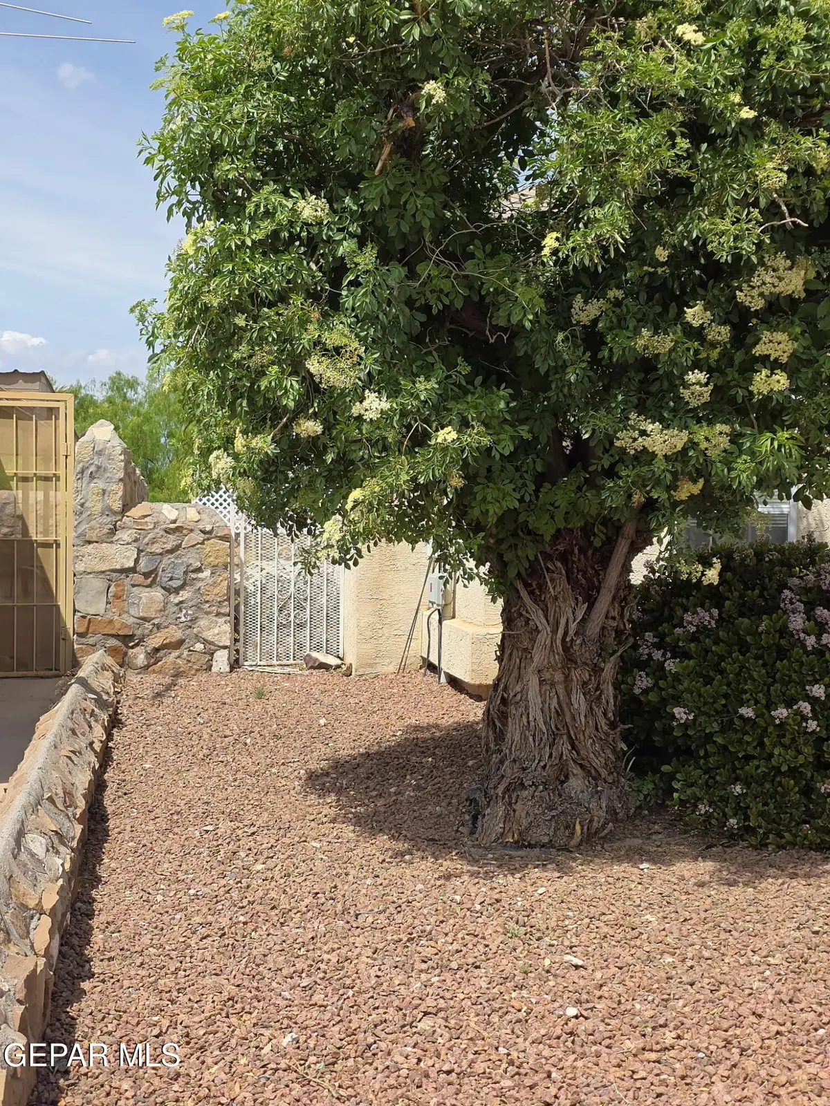 7457 Plaza Taurina Drive, El Paso, TX 79912 - #1
