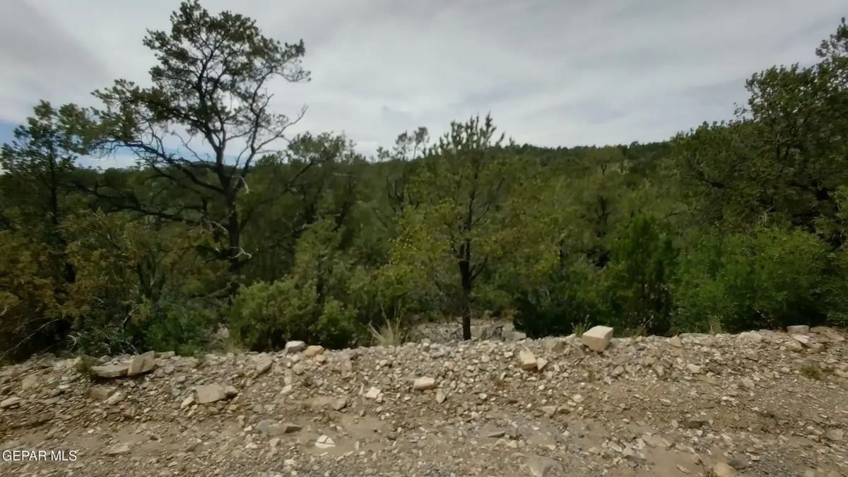 60 Canyon Road, Timberon, NM 88350 - #1