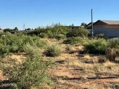 905 Oasis Drive, Chaparral, NM 88081 - #3