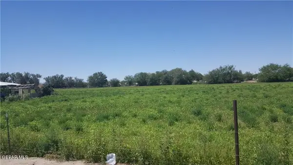 13054 Alarcon Road, San Elizario, TX 79849
