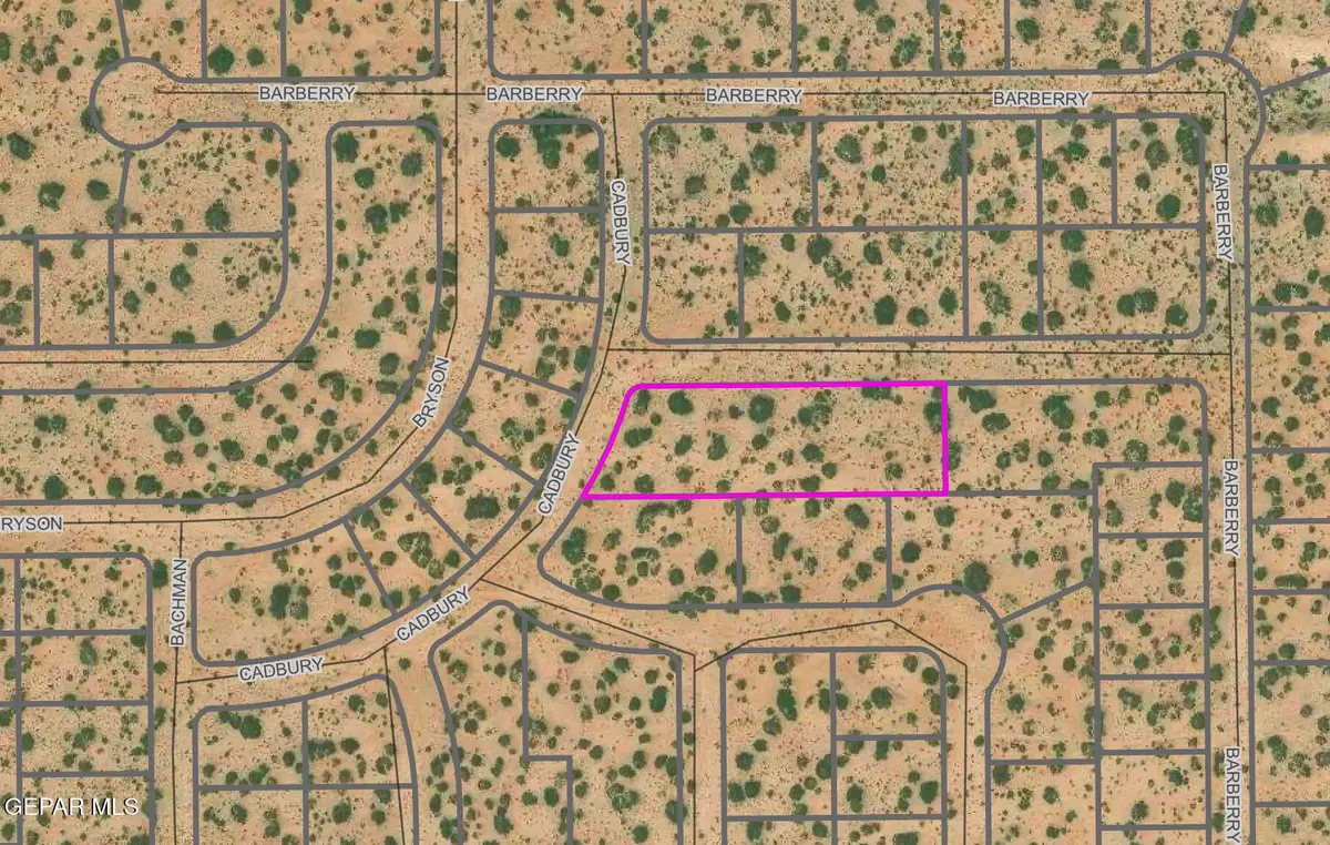 PN333474 Cadbury Drive, Horizon City, TX 79928 - #1