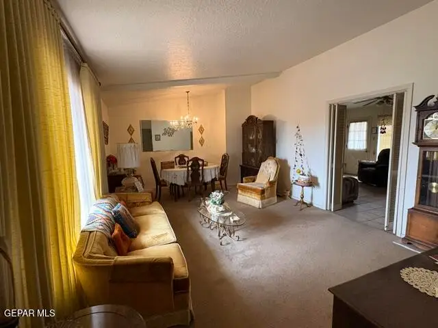 8613 Gazelle Drive, El Paso, TX 79925 - #3