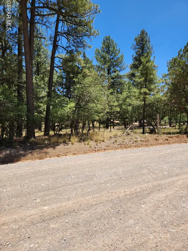 469 Dixwood Drive, Timberon, NM 88350