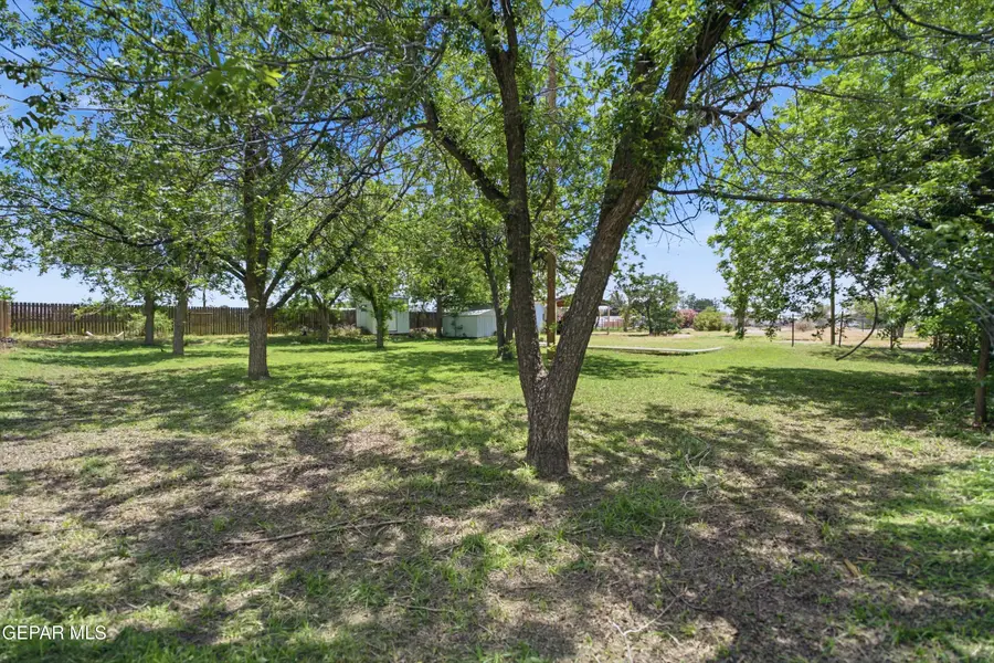 10757 W Burt Road, Socorro, TX 79927 - #3