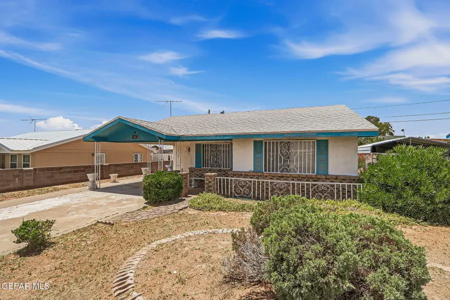 421 Ramsey Avenue, Anthony, NM 88021 - #2