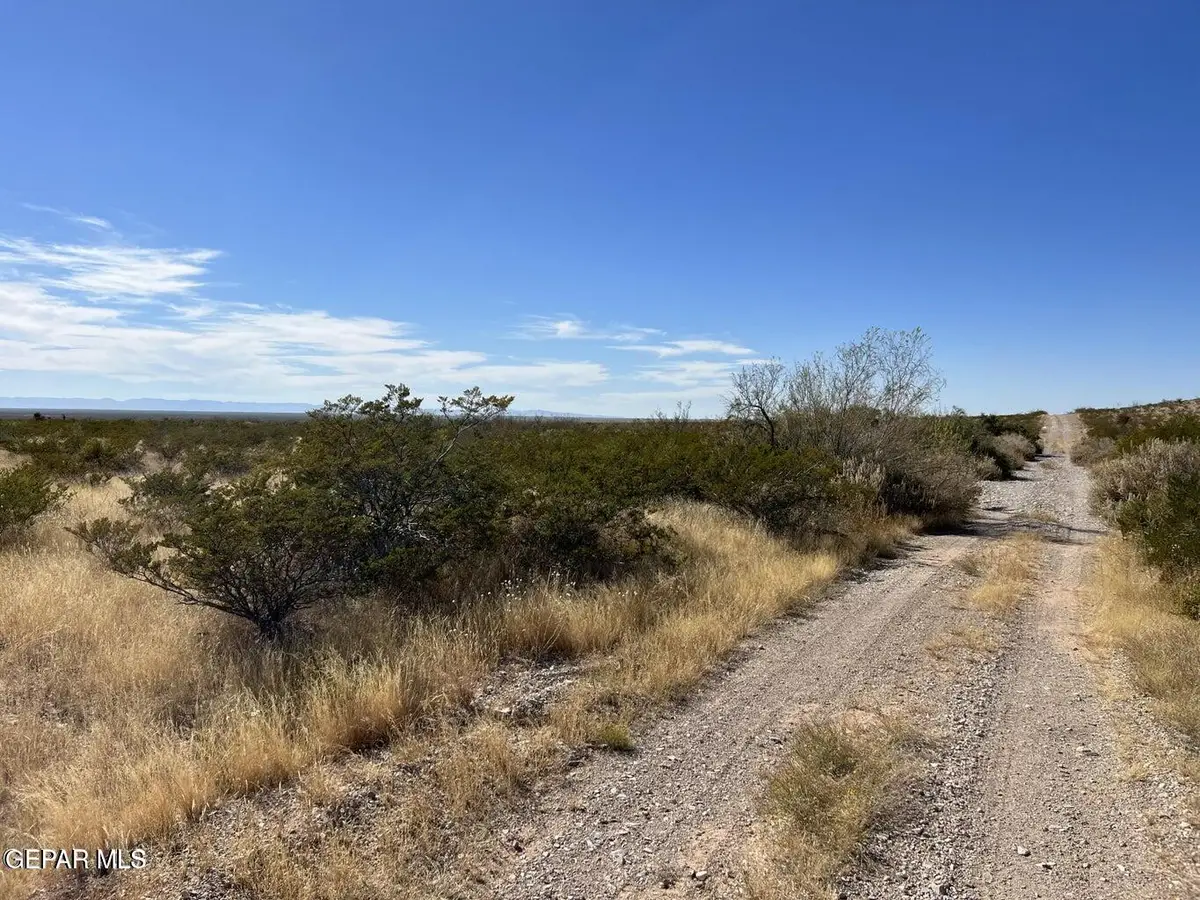 12 SEC 18 Psl Sunset Ranches #117 Lot 38, Fabens, TX 79838 - #1