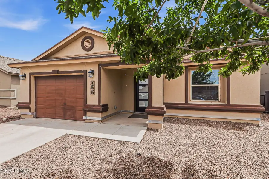 13808 Alamito Creek Avenue, Clint, TX 79836 - #2