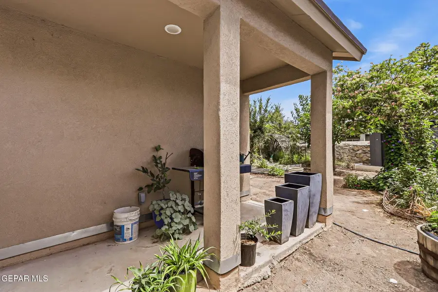 13808 Alamito Creek Avenue, Clint, TX 79836 - #3