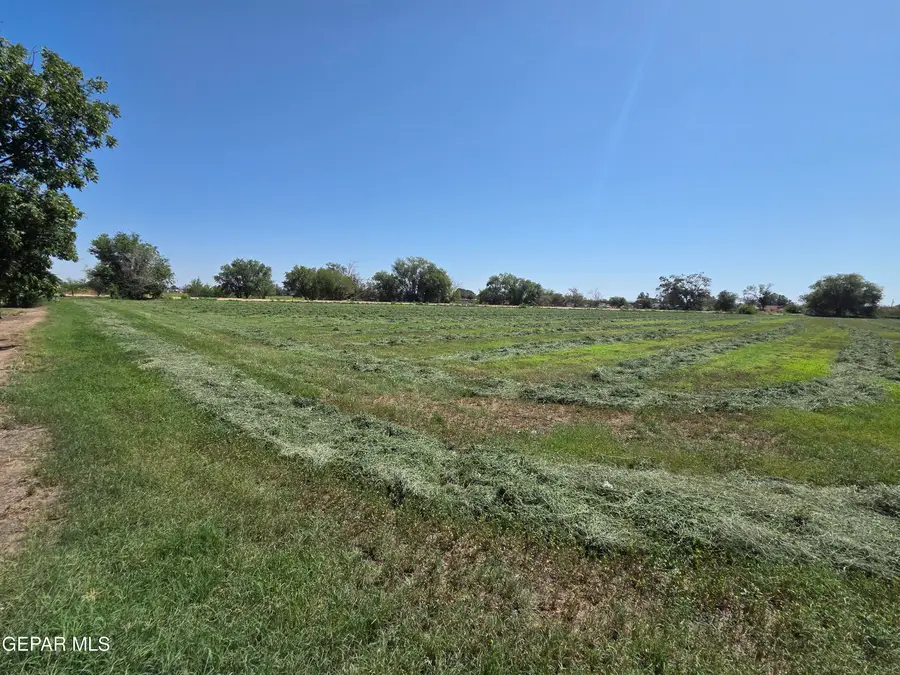 PN-220445 Borrego Road, San Elizario, TX 79849 - #2