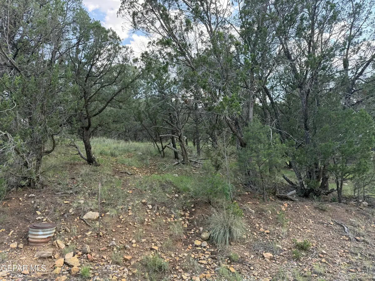 PN0361738 Tbdchisholm Trail, Ruidoso, NM 88345 - #1