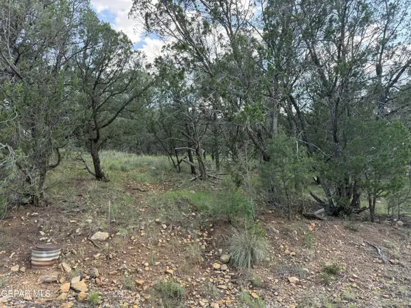 PN0361738 Tbdchisholm Trail, Ruidoso, NM 88345