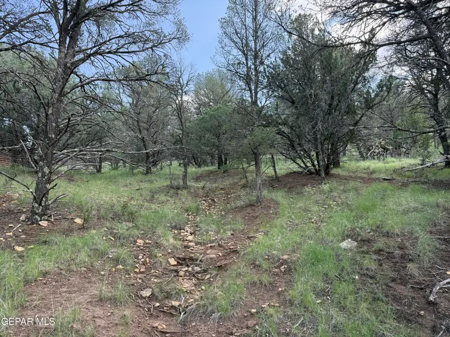 PN0361738 Tbdchisholm Trail, Ruidoso, NM 88345 - #2
