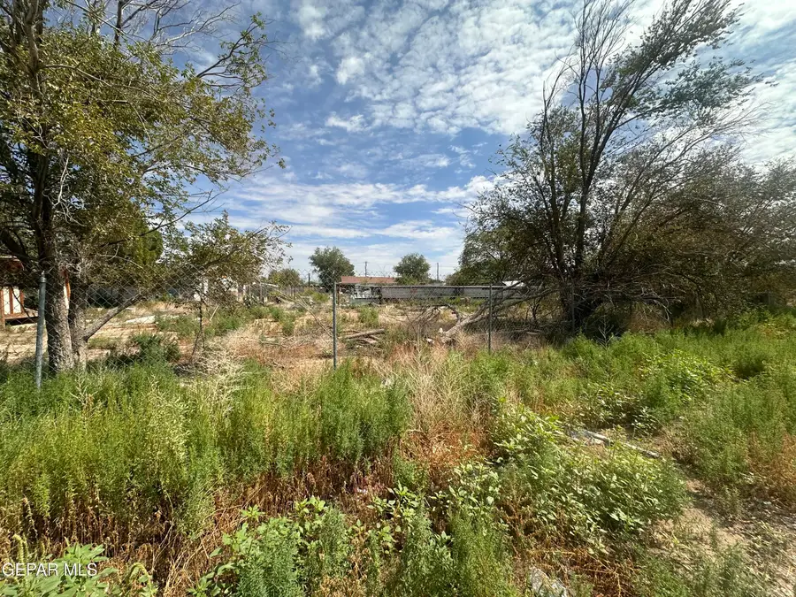 13537 Guitar Drive, San Elizario, TX 79849 - #3