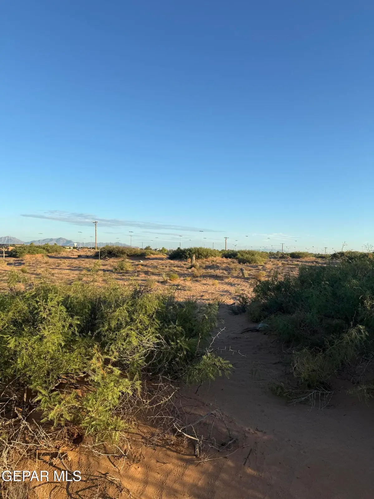 PN176330 Udellion Drive, El Paso, TX 79938 - #1