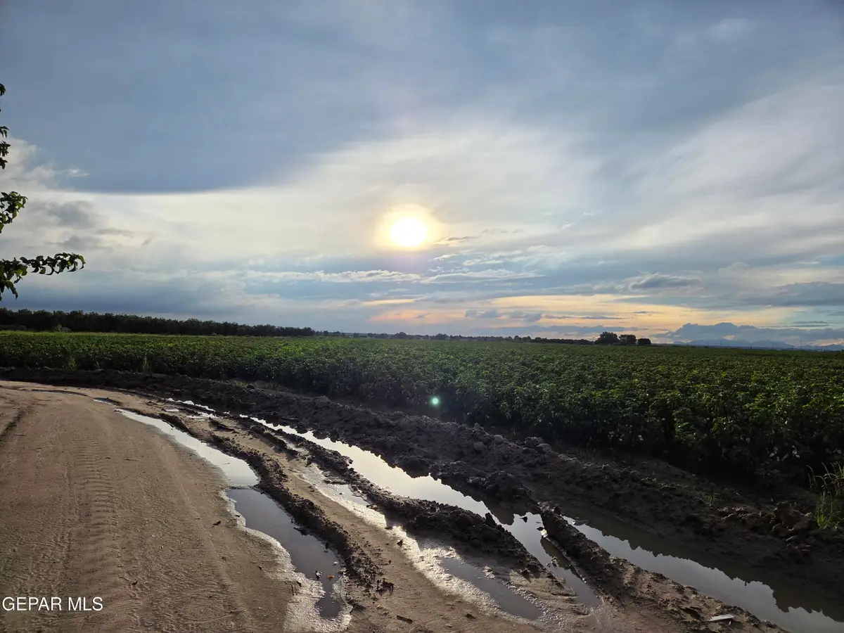 PN-408280 Alameda, Fabens, TX 79838 - #1