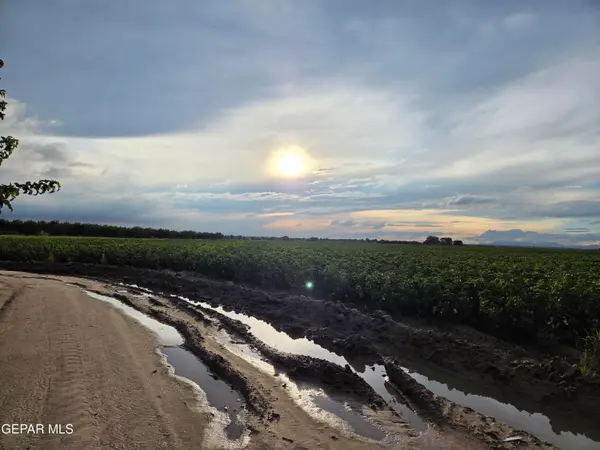 PN-408280 Alameda, Fabens, TX 79838