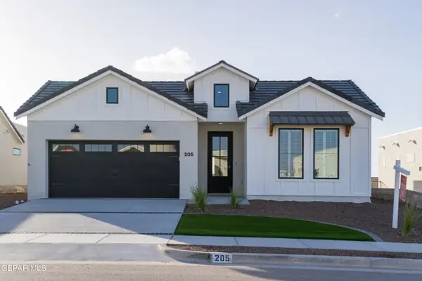 13316 Emerald Fire Court, Horizon City, TX 79928