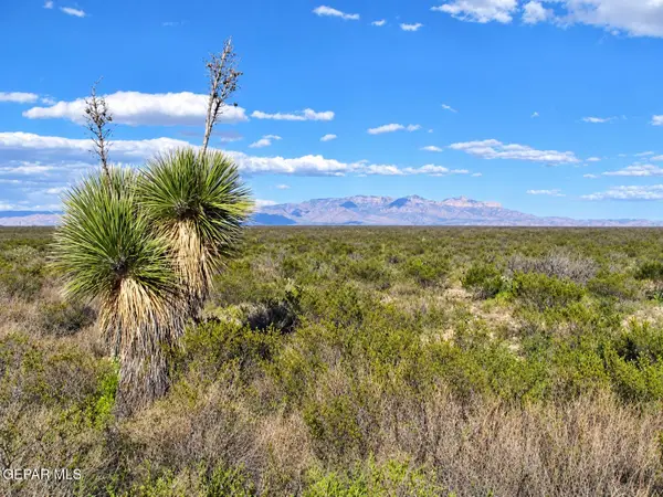 PN-105599 Sparks Ranch, Sierra Blanca, TX 79851