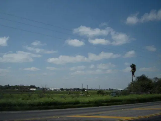 15624 N Conway Avenue, Mission, TX 78572 - Image #1