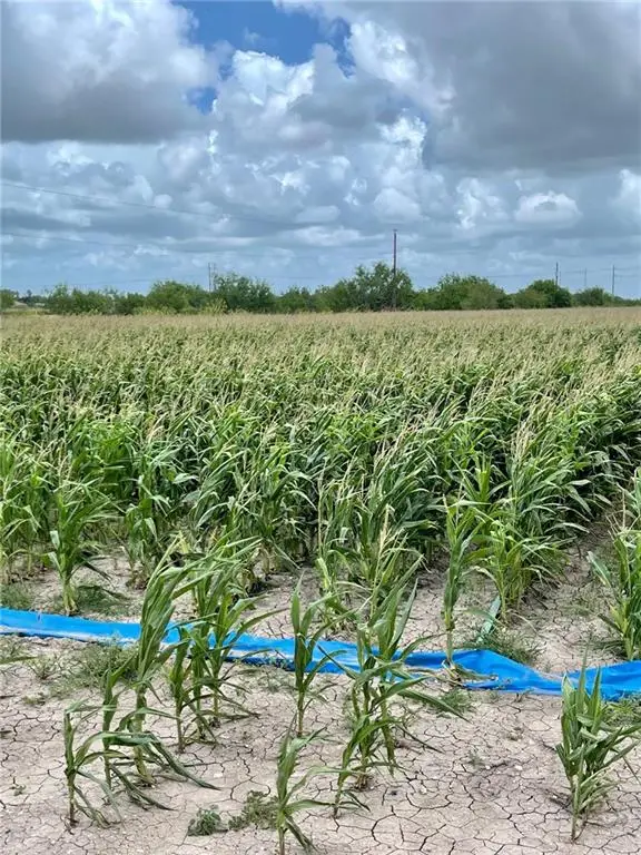 TBD N Gonzalez Road N, Progreso, TX 78579 - Image #2