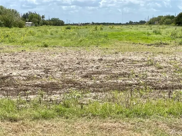 TBD Fm 1015 Road, Progreso, TX 78579