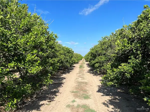 10.75 Mi N Western Road, Edinburg, TX 78541