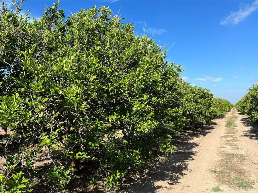 10.75 Mi N Western Road, Edinburg, TX 78541 - Image #2