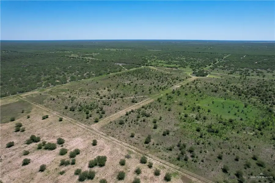 00 NE Rucio Road, Linn, TX 78563 - Image #2
