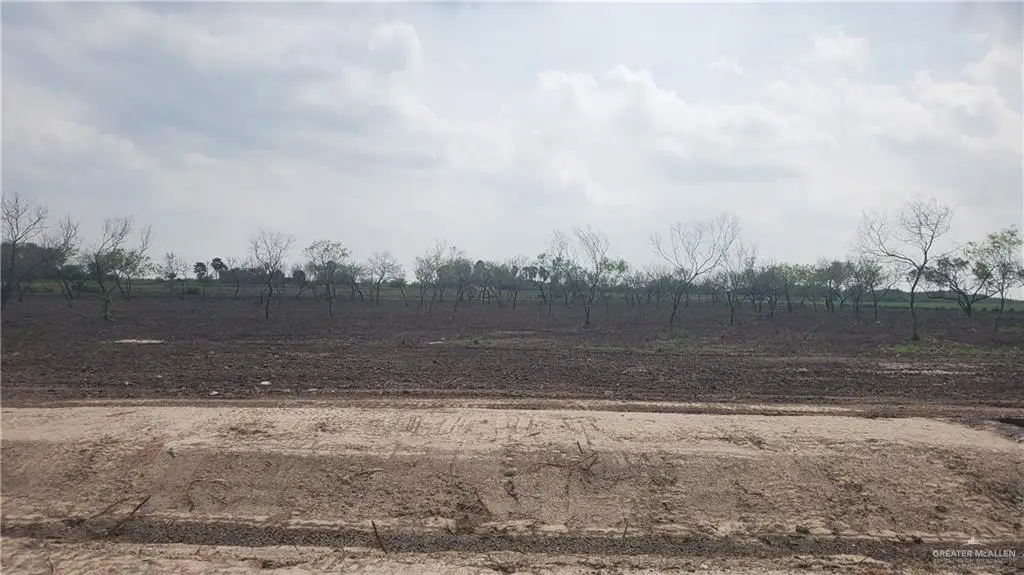 893 W Mile 13 N, Weslaco, TX 78599 - Image #1